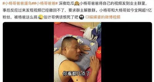 热点爆料杨哥视频,揭秘热点事件背后真相