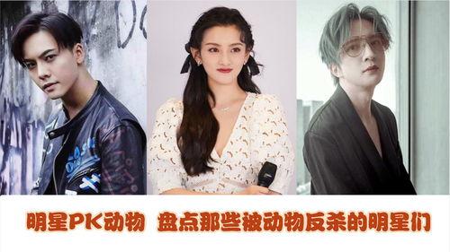 明星被杀盘点,揭秘娱乐圈悲剧事件背后的真相