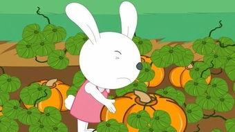 娱乐吃瓜小兔子小说